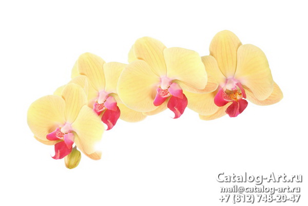 картинки для фотопечати на потолках, идеи, фото, образцы - Потолки с фотопечатью - Желтые и бежевые орхидеи 14